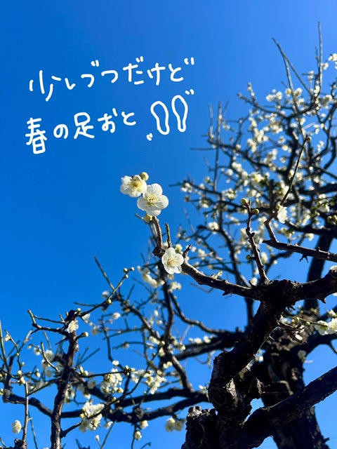 物欲と共にみーまん的ビズショー　あれあれ。ネタ被り笑ごめんなさいw