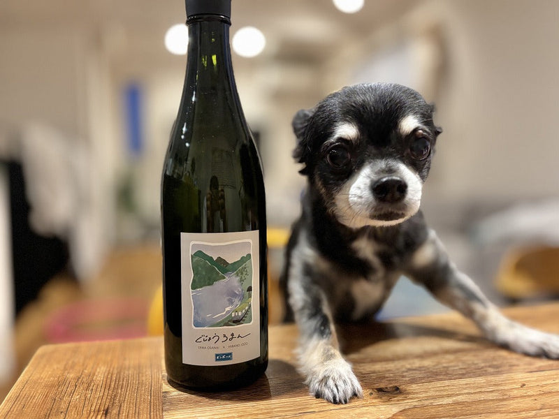 今夜も乾杯！