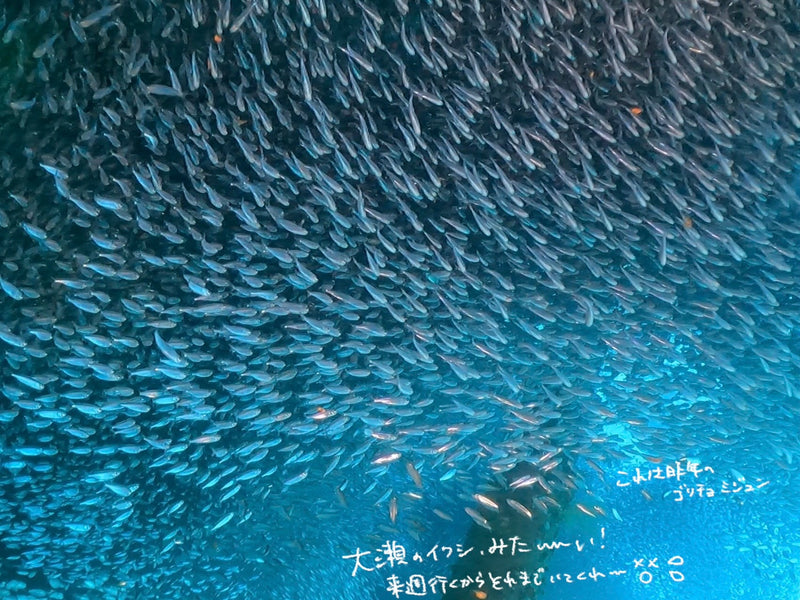 美味しいご飯食べてお風呂浸かって寝る！と治る！