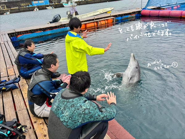 多分8年ぶりに伊東のイルカちゃんたちと遊んできたよ〜🐬