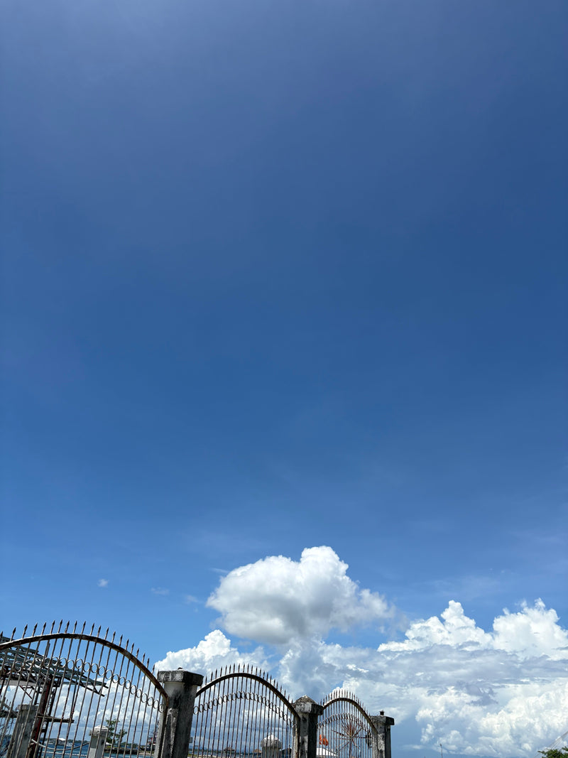 何かと忙しく、、