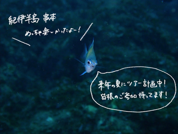 行きたいところが多すぎて嬉しいけど忙しい～！！
