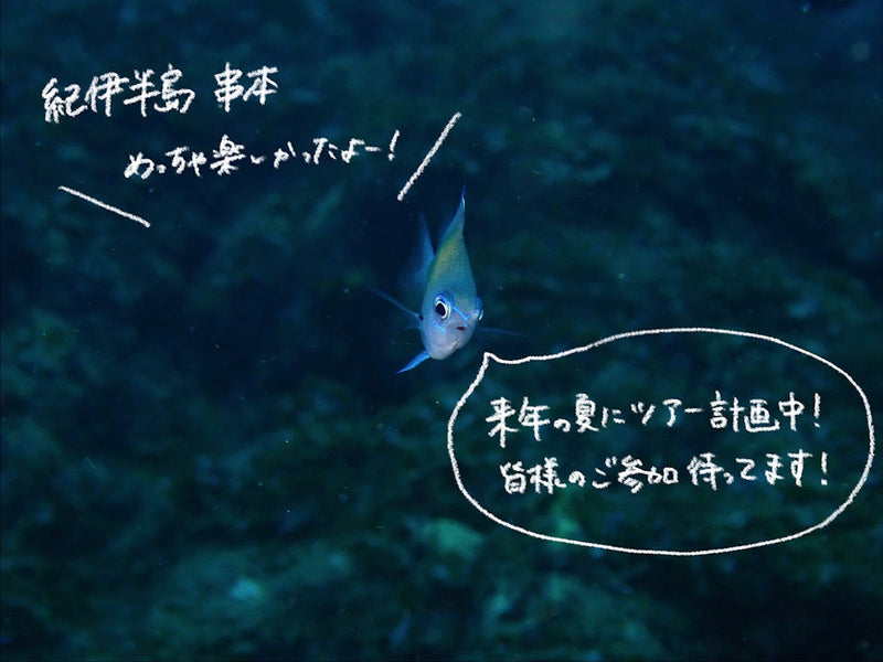 行きたいところが多すぎて嬉しいけど忙しい～！！