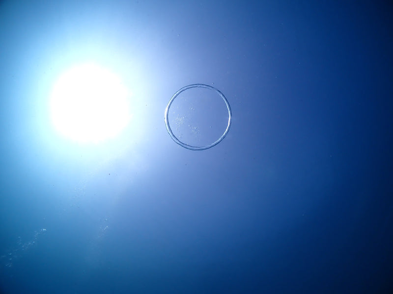 ブランクダイバーの気持ちがよーくわかりました。無事に潜れるかなぁ・・・