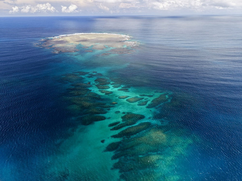 ナイスな海！