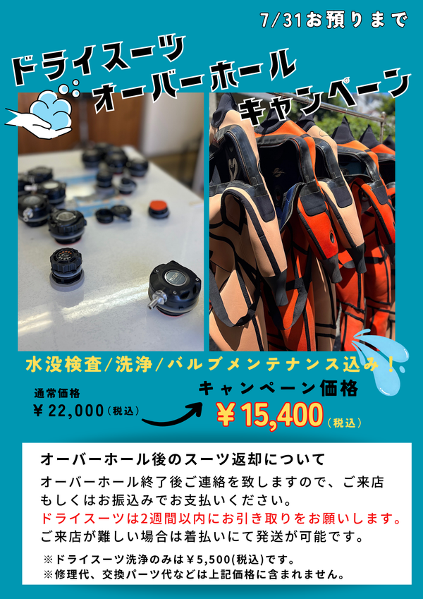 夏の足音接近中、そろそろ海の中も衣替え？？