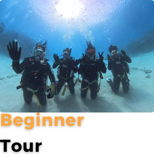 BEGINNER