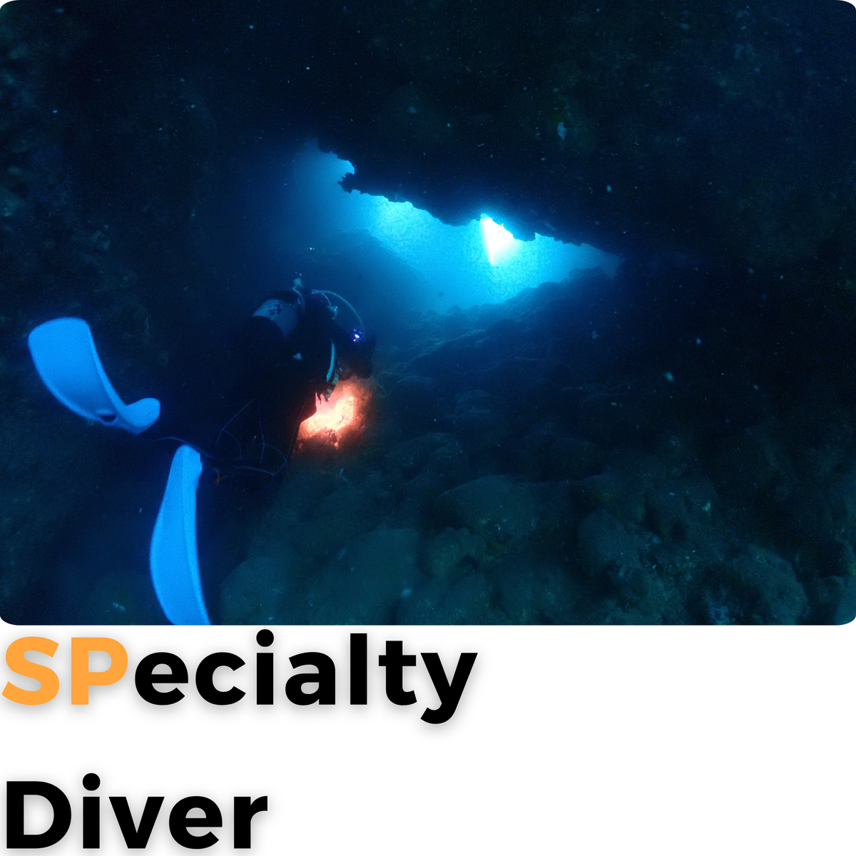 SPECIALTY