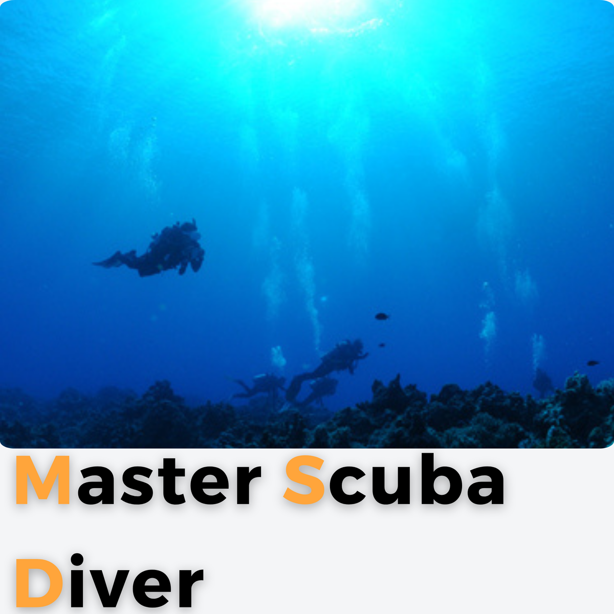 MASTER SCUBA DIVER